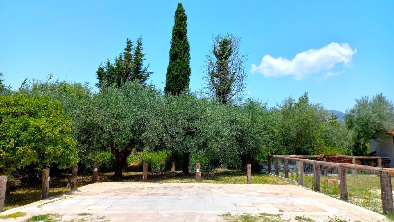 Villa Platanos à Vasilikí Extérieur photo